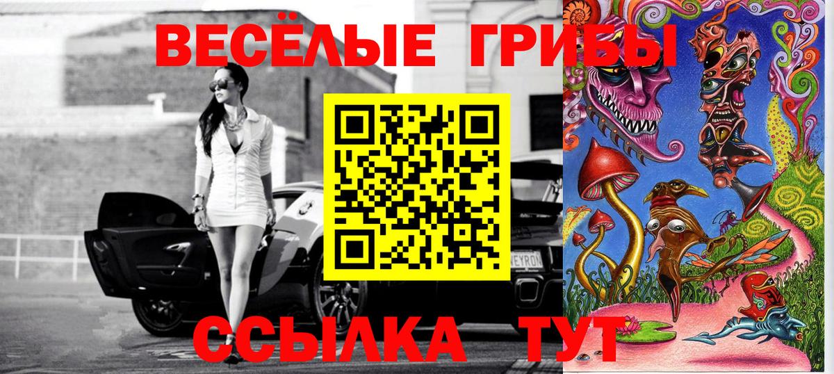 Галлюциногенные грибы Magic Shrooms  Вход с VPN  Черняховск  Псилоцибиновые грибы ЛСД 